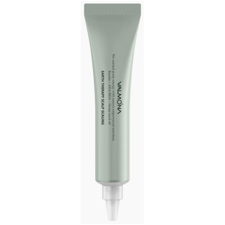 Сыворотка для кожи головы очищающая Valmona Earth Therapy Scalp Scaler
